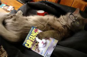 ������������� ����� ��� �����